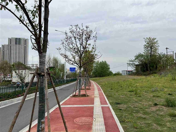 生態透水混凝土案例