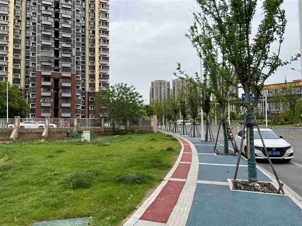 生態透水混凝土案例